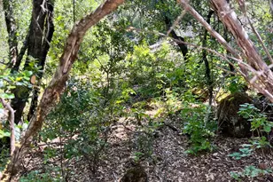 16486 8th Ave, Clearlake, CA 95422 - Photo 1