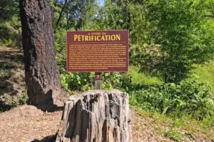 4100 Petrified Forest Rd, Santa Rosa, CA 94515 - Photo 61