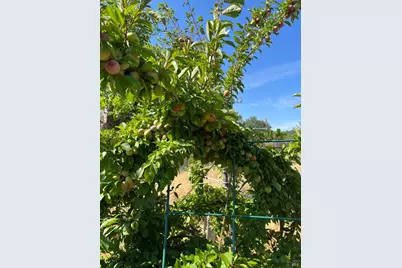 2192 Riggs Road, Lakeport, CA 95453 - Photo 23