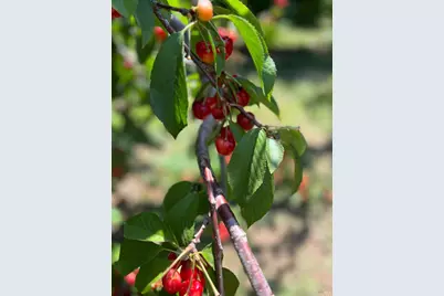 2192 Riggs Road, Lakeport, CA 95453 - Photo 25