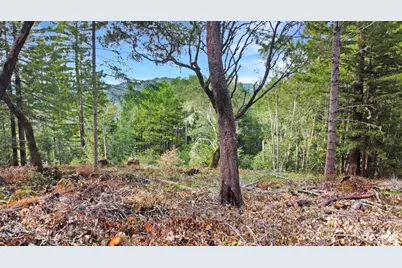 21155 Siri Road, Guerneville, CA 95446 - Photo 21