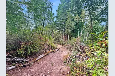 21155 Siri Road, Guerneville, CA 95446 - Photo 9
