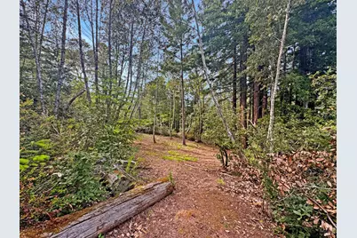 21155 Siri Road, Guerneville, CA 95446 - Photo 3