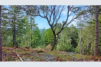 21155 Siri Road, Guerneville, CA 95446 - Photo 29