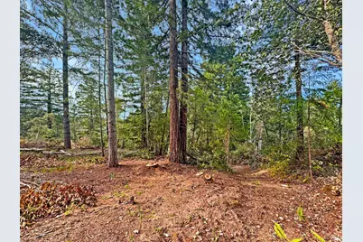 21155 Siri Road, Guerneville, CA 95446 - Photo 17