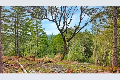21155 Siri Road, Guerneville, CA 95446 - Photo 7