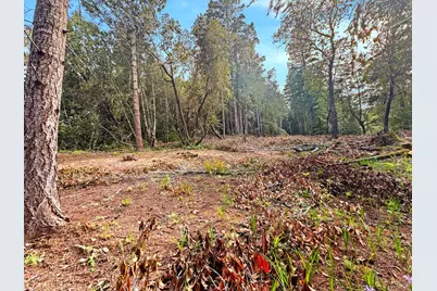 21155 Siri Road, Guerneville, CA 95446 - Photo 5