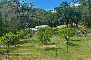 2371 McNab Ranch Rd, Ukiah, CA 95482 - Photo 11