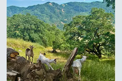 2371 McNab Ranch Road, Ukiah, CA 95482 - Photo 23