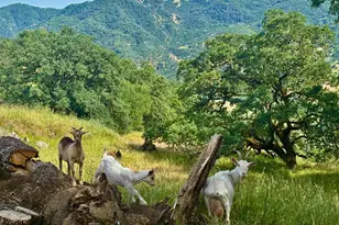 2371 McNab Ranch Rd, Ukiah, CA 95482 - Photo 23