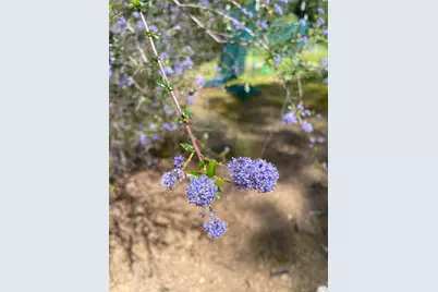 25210 Mountain View Road, Boonville, CA 95415 - Photo 21