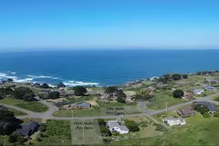 15151 Mallo Pass Dr, Irish Beach, CA 95459 - Photo 1