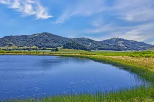 2590 Chileno Valley Rd, Petaluma, CA 94952 - Photo 3