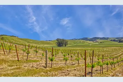 2590 Chileno Valley Road, Petaluma, CA 94952 - Photo 45