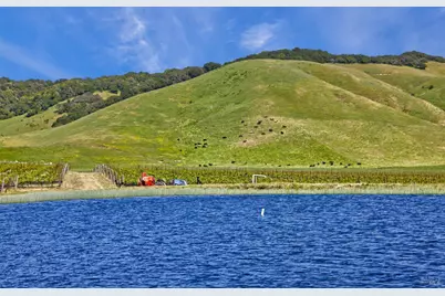 2590 Chileno Valley Road, Petaluma, CA 94952 - Photo 5
