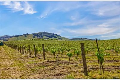 2590 Chileno Valley Road, Petaluma, CA 94952 - Photo 33