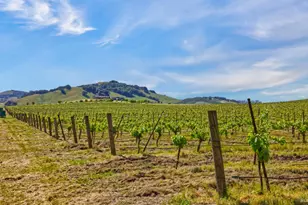 2590 Chileno Valley Rd, Petaluma, CA 94952 - Photo 33