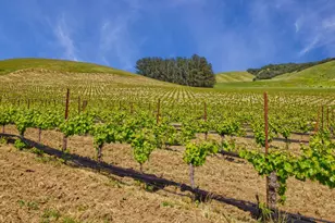 2590 Chileno Valley Rd, Petaluma, CA 94952 - Photo 11