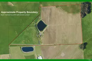 2590 Chileno Valley Rd, Petaluma, CA 94952 - Photo 57