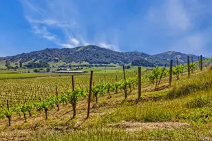 2590 Chileno Valley Rd, Petaluma, CA 94952 - Photo 41