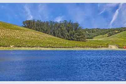 2590 Chileno Valley Road, Petaluma, CA 94952 - Photo 35