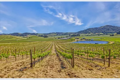 2590 Chileno Valley Road, Petaluma, CA 94952 - Photo 7