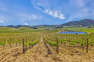 2590 Chileno Valley Rd, Petaluma, CA 94952 - Photo 7