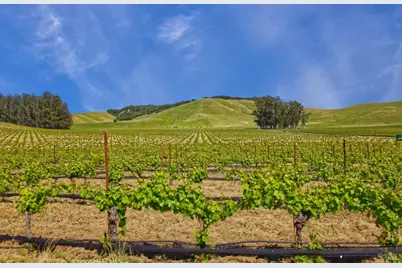 2590 Chileno Valley Road, Petaluma, CA 94952 - Photo 39