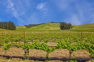 2590 Chileno Valley Rd, Petaluma, CA 94952 - Photo 39