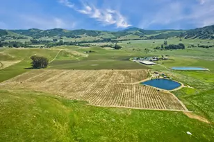 2590 Chileno Valley Rd, Petaluma, CA 94952 - Photo 55