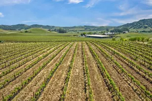 2590 Chileno Valley Rd, Petaluma, CA 94952 - Photo 47