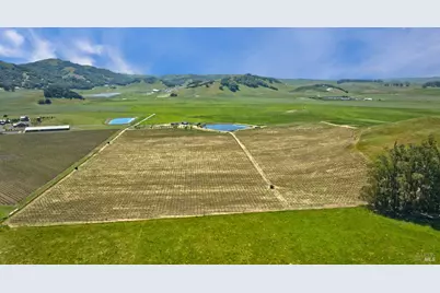 2590 Chileno Valley Road, Petaluma, CA 94952 - Photo 53