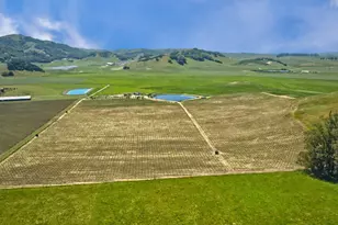 2590 Chileno Valley Rd, Petaluma, CA 94952 - Photo 53