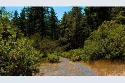 44591 Zettler Road, Point Arena, CA 95468 - Photo 17