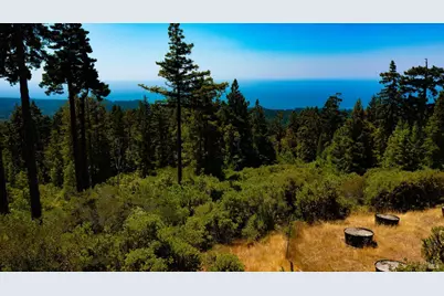 44591 Zettler Road, Point Arena, CA 95468 - Photo 13