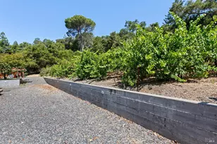 995 Dry Creek Rd, Healdsburg, CA 95448 - Photo 47