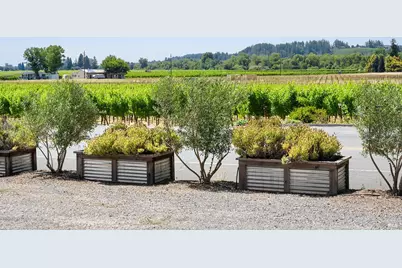 995 Dry Creek Road, Healdsburg, CA 95448 - Photo 15