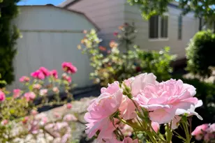 101 Drake Mews, Sonoma, CA 95476 - Photo 25