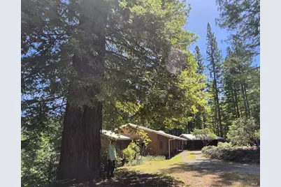 11903 Branscomb Road, Branscomb, CA 95417 - Photo 3