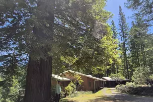 11903 Branscomb Rd, Branscomb, CA 95417 - Photo 3