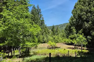 11903 Branscomb Rd, Branscomb, CA 95417 - Photo 23