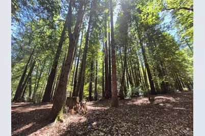 11903 Branscomb Road, Branscomb, CA 95417 - Photo 69