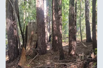 11903 Branscomb Road, Branscomb, CA 95417 - Photo 65