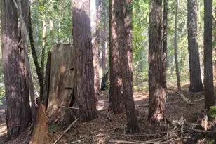 11903 Branscomb Rd, Branscomb, CA 95417 - Photo 65