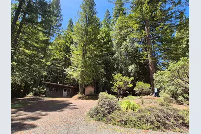 11903 Branscomb Road, Branscomb, CA 95417 - Photo 41