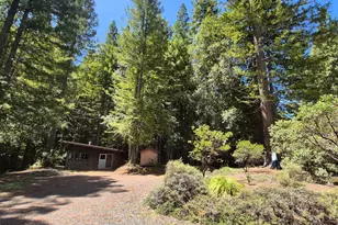 11903 Branscomb Rd, Branscomb, CA 95417 - Photo 41