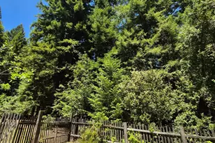 11903 Branscomb Rd, Branscomb, CA 95417 - Photo 37