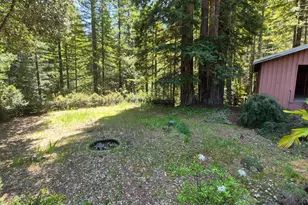 11903 Branscomb Rd, Branscomb, CA 95417 - Photo 63