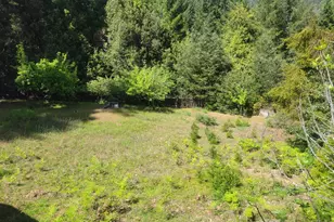 11903 Branscomb Rd, Branscomb, CA 95417 - Photo 33