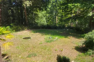 11903 Branscomb Rd, Branscomb, CA 95417 - Photo 61